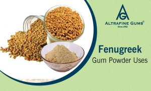 Nutrients composition of Fenugreek seeds