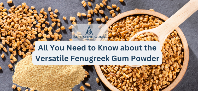 All You Need to Know about the Versatile Fenugreek Gum Powder