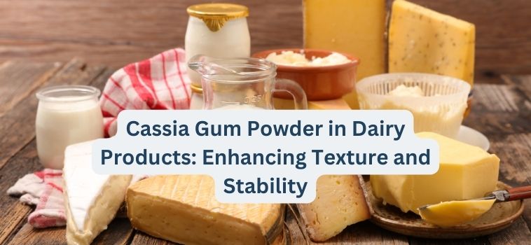 Cassia Gum Powder in Dairy Products: Enhancing Texture and Stability