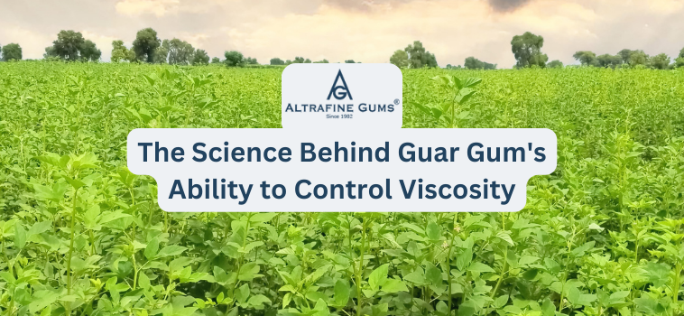 The Science Behind Guar Gum’s Ability to Control Viscosity