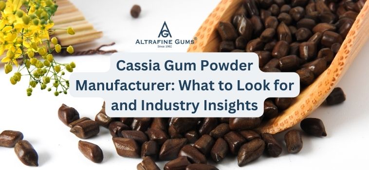 Cassia Gum Powder Manufacturer: What to Look for and Industry Insights