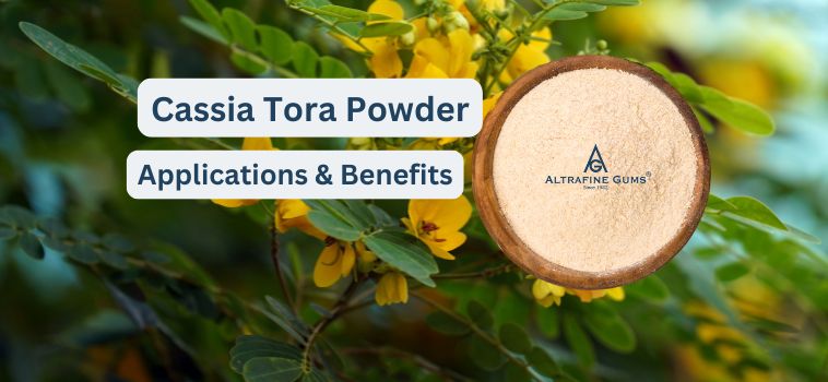 Cassia Tora Powder: Applications and Benefits