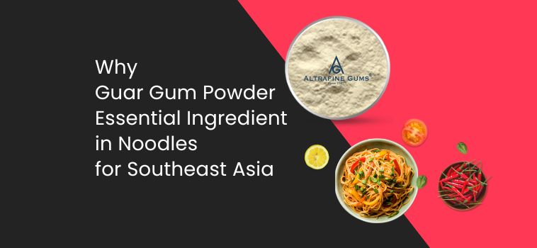 Why Guar Gum Powder is an Essential Ingredient in Noodles for Southeast Asia