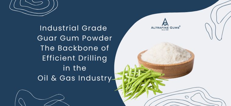 Industrial Grade Guar Gum Powder: The Backbone of Efficient Drilling in the Oil & Gas Industry