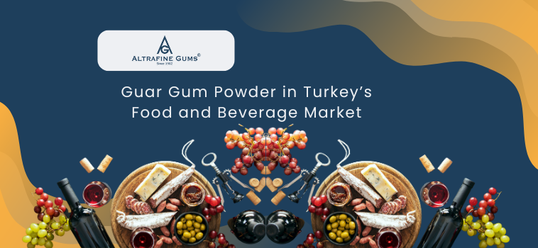 Guar Gum Powder in Turkey’s Food and Beverage Market