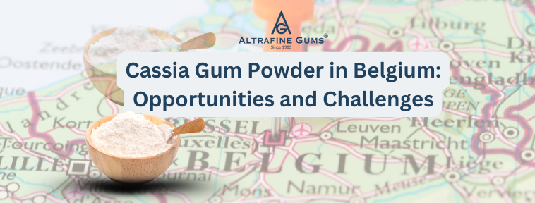 Cassia Gum Powder in Belgium - Opportunities and Challenges