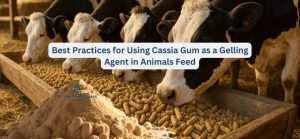 Best Practices for Using Cassia Gum as a Gelling Agent in Animals Feed