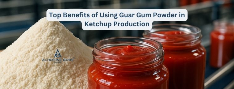 Top Benefits of Using Guar Gum Powder in Ketchup Production