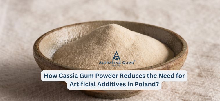 How Cassia Gum Powder Reduces the Need for Artificial Additives in Poland?