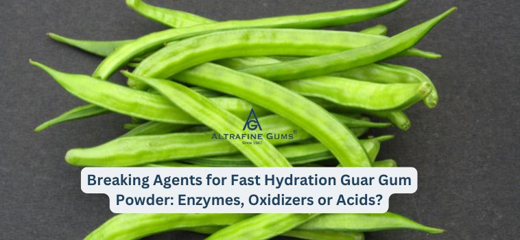 Breaking Agents for Fast Hydration Guar Gum Powder: Enzymes, Oxidizers or Acids?