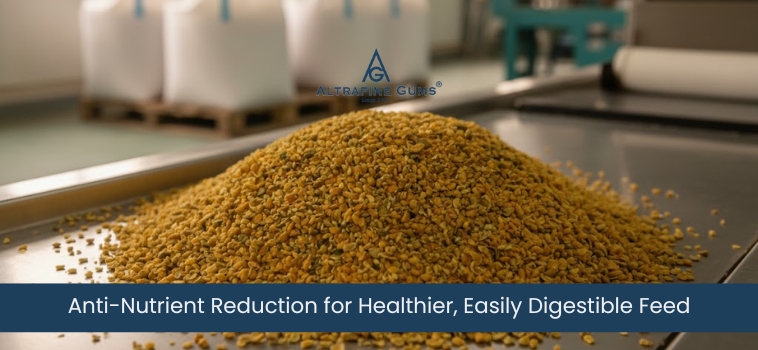 Anti-Nutrient Reduction for Healthier, Easily Digestible Feed