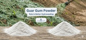 Guar Gum Powder Role in Better Hydroseeding