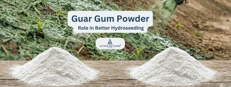 Guar Gum Powder Role in Better Hydroseeding