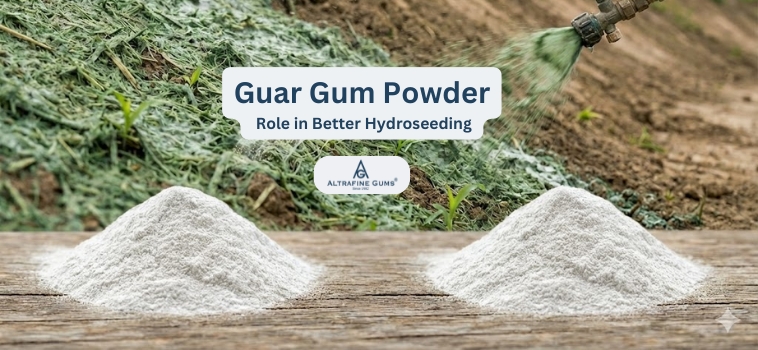 Guar Gum Powder Role in Better Hydroseeding