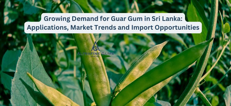 Growing Demand for Guar Gum in Sri Lanka: Applications, Market Trends and Import Opportunities