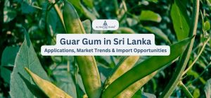 Guar Gum in Sri Lanka: Applications, Market Trends and Import Opportunities
