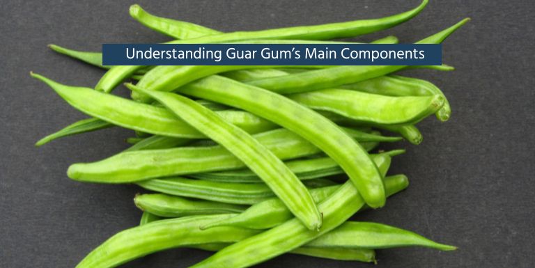 Understanding Guar Gum Main Components