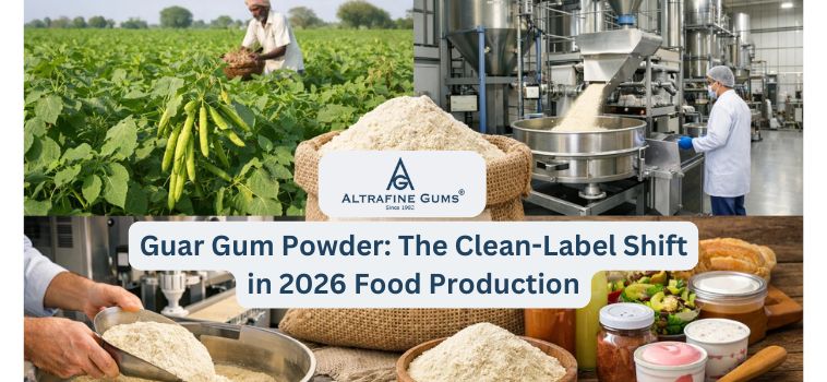 Guar Gum Powder for Clean-Label Foods: Why Manufacturers are shifting to Synthetic Thickeners in 2026
