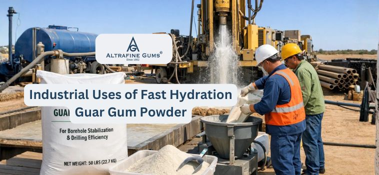 Top 7 Industrial Uses of Fast Hydration Guar Gum Powder Beyond Oil & Gas
