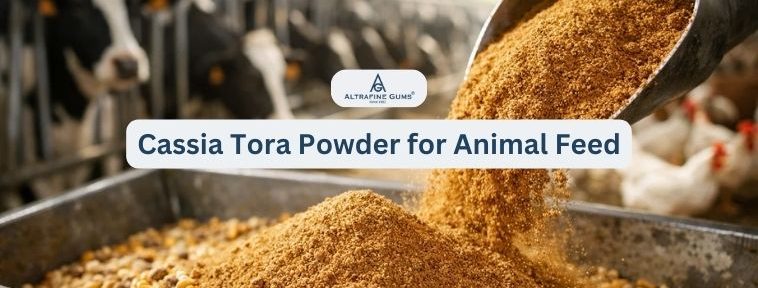 Cassia Tora Powder for Animal Feed