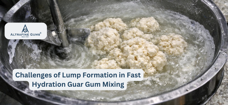 Top 5 Challenges in Using Fast Hydration Guar Gum Powder & How to Overcome Them