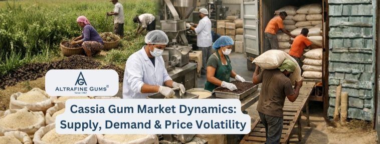 Cassia Gum Market Dynamics: Supply, Demand & Price Volatility
