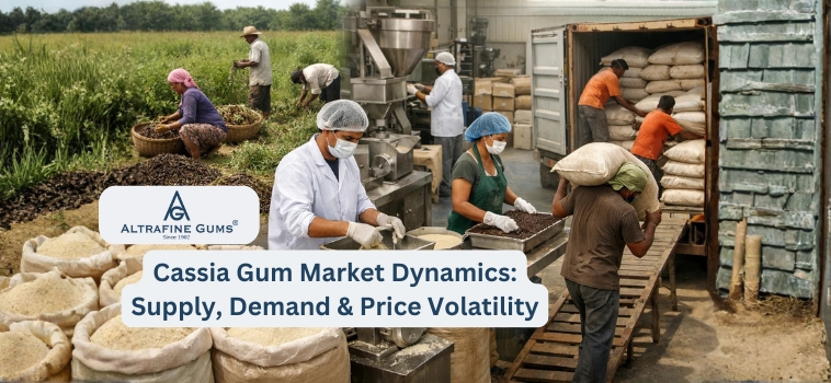 Cassia Gum Market Dynamics: Supply, Demand & Price Volatility