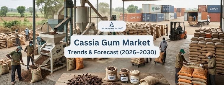 Cassia Gum Market Trends & Forecast (2026–2030