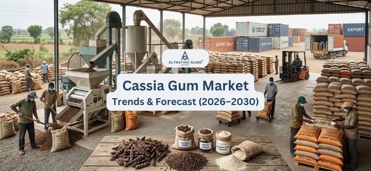 Cassia Gum Market Trends & Forecast (2026–2030