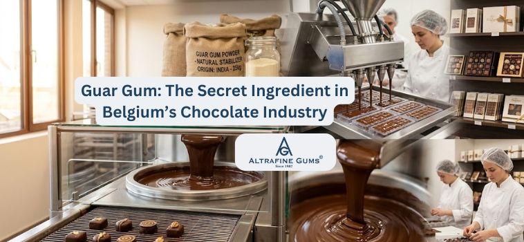 Belgium’s Chocolate & Confectionery Industry and Its Secret Natural Stabilizer