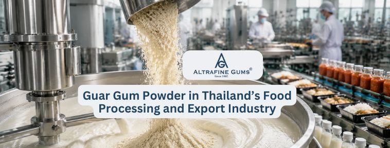 Guar-Gum-Powder-Thailand-Food-Processing-Export-Industry
