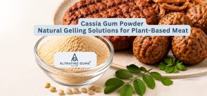Cassia Gum Powder Natural Gelling Solutions for Plant-Based Meat