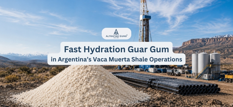 Fast Hydration Guar Gum in Argentina’s Vaca Muerta Shale Operations