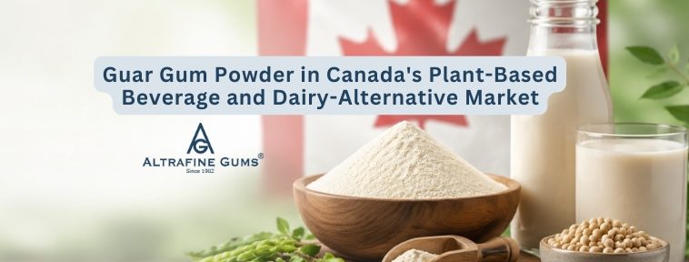 Guar Gum Powder in Canadas Plant-Based Beverage and Dairy-Alternative Market