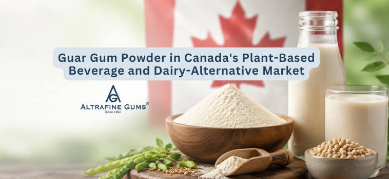 Guar Gum Powder in Canadas Plant-Based Beverage and Dairy-Alternative Market