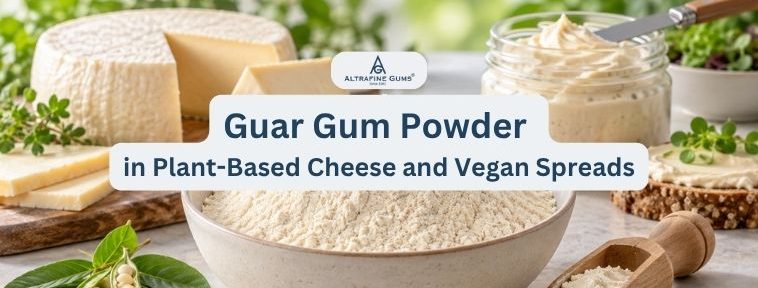 Guar Gum Powder in Plant-Based Cheese and Vegan Spreads