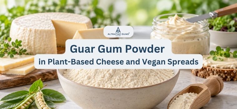 Guar Gum Powder in Plant-Based Cheese and Vegan Spreads