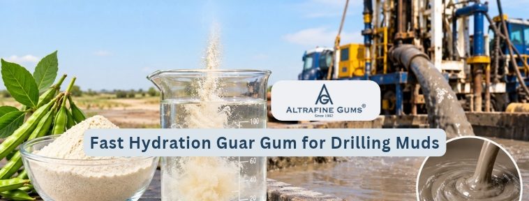 Fast Hydration Guar Gum for Drilling Muds