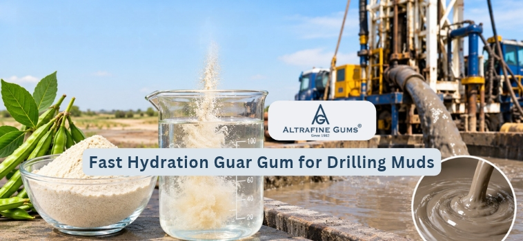 Fast Hydration Guar Gum for Drilling Muds