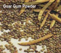 Guar Gum Powder.JPG