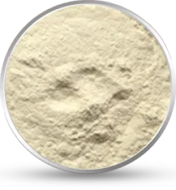 Guar Gum Powder