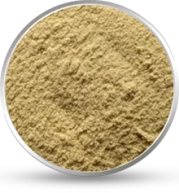 Guar Gum Powder